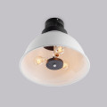 Люстра потолочная schoolhouse style D390 white8