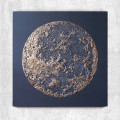 Картина MOON3