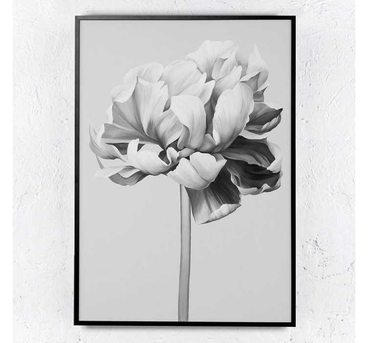 Картина BLACK AND WHITE PEONY2