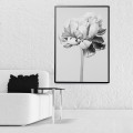 Картина BLACK AND WHITE PEONY1