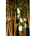Вуличні світильники Set Of 3 Balad H12 Cactus5