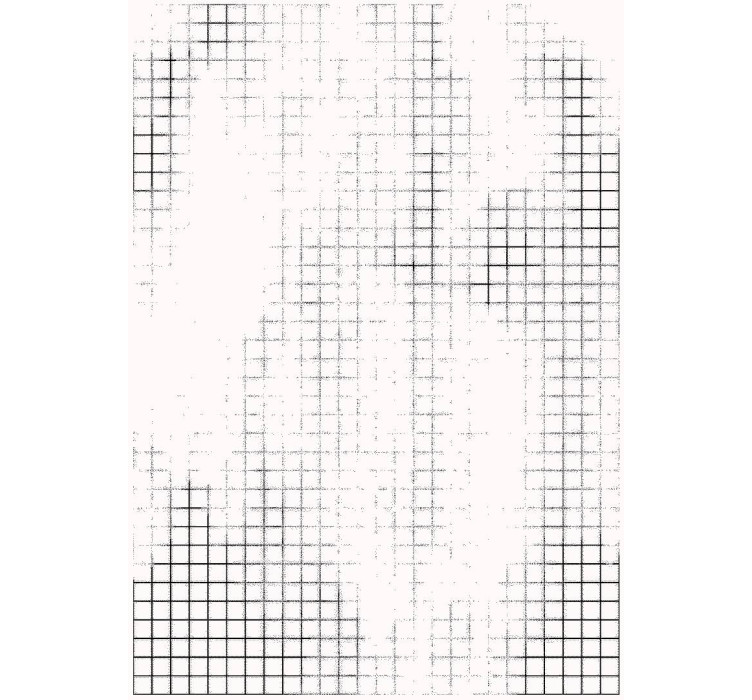 Килим Windowpane ShishkaProject 160*240см1