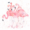Безшовні дитячі фотошпалери Flamma birds1