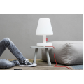 Настільна лампа Edison the Medium Сonnect3