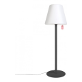 Торшер Edison the Giant Anthracite H1821