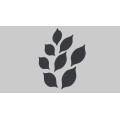 Настінна акустична панель Leaf 3013 НАП2