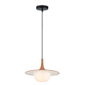 Підвісний світильник Single Light Brown Fred1