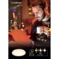 Точковий світильник Nordlux Fallon 475401012